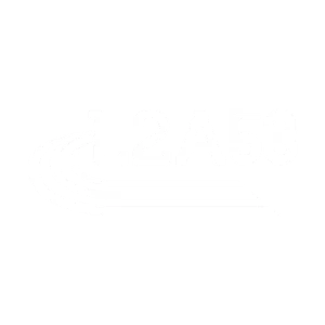 L2A53