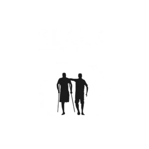 Team SEALS
